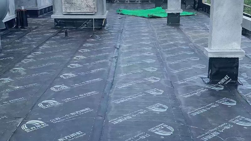 上海JS防水涂料：如何选择合适的批发厂家**
